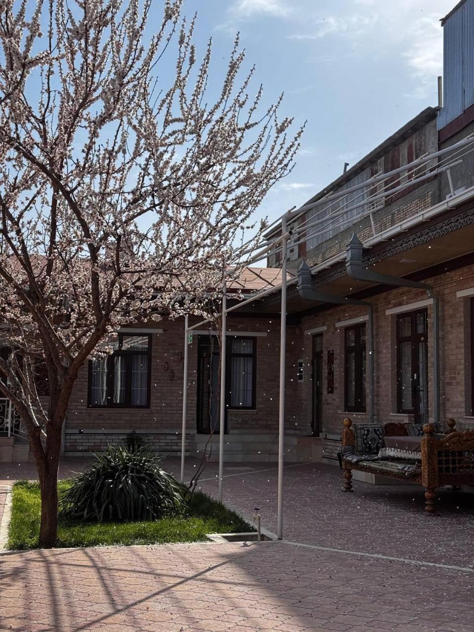Salomat Guest House سمرقند المظهر الخارجي الصورة
